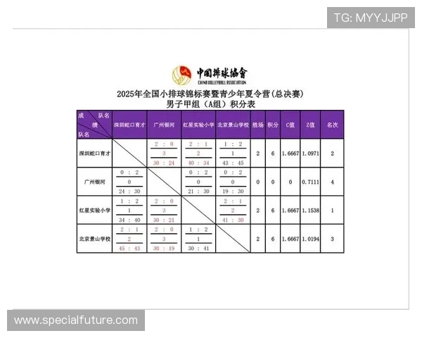 武汉排球队在全国排球灵活性排行榜中荣获第七名的佳绩引发关注