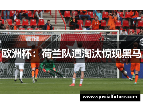欧洲杯：荷兰队遭淘汰惊现黑马