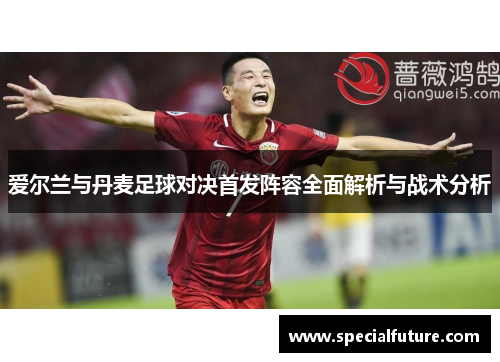 爱尔兰与丹麦足球对决首发阵容全面解析与战术分析